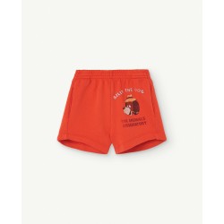 Shorts unissex para...