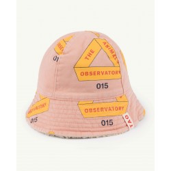 Filhotes de Estrela-do-mar...