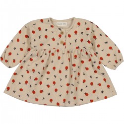 Long-sleeved baby dress