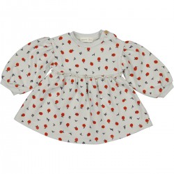Long-sleeved baby dress