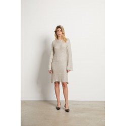 Ezra Metallic Dress