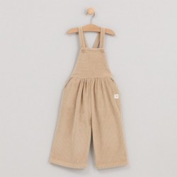 Big Mountain kinderwagen