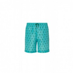 Boys' boardshort swimsuit,...