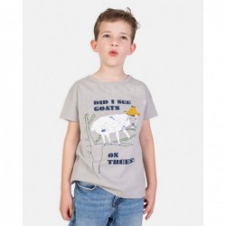 Camiseta de manga curta,...