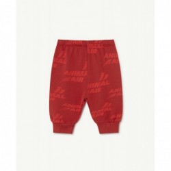 DROMEDARY Animal Air joggers