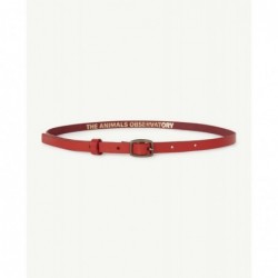 Ceinture IBIS