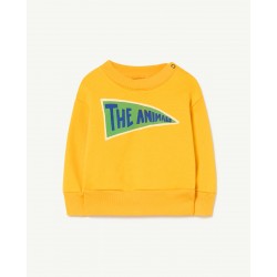 Sudadera BEAR BABY Bandeira