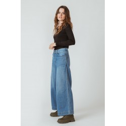 Calça comprida, modelo Skater